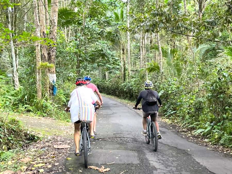 Pedal Through Paradise: Bali Wanderlust Sidemen Cycling Tour - Starting beside SMA Negeri 1 Sidemen