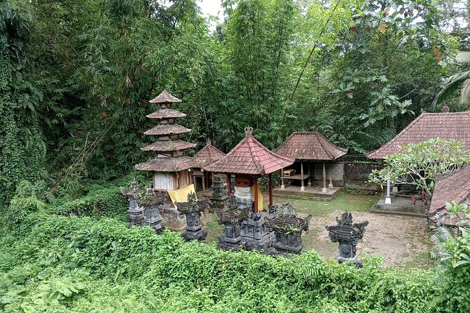 Penglipuran Village Waterfall Swing Private Guided Tour - The pace, comfort, and limits