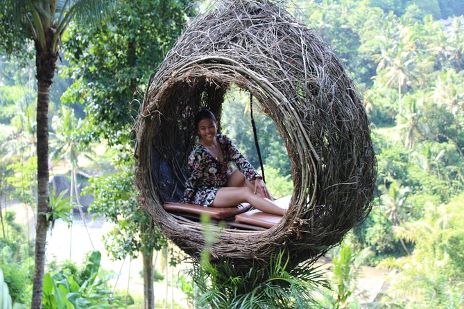 Private Bali Car Charter with Driver up to 6 People - The $69.26 price and what you really get