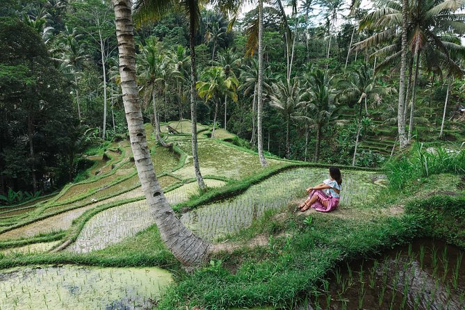 Private Bali Car Charter with Driver up to 6 People - Photo stops near the southern resort areas