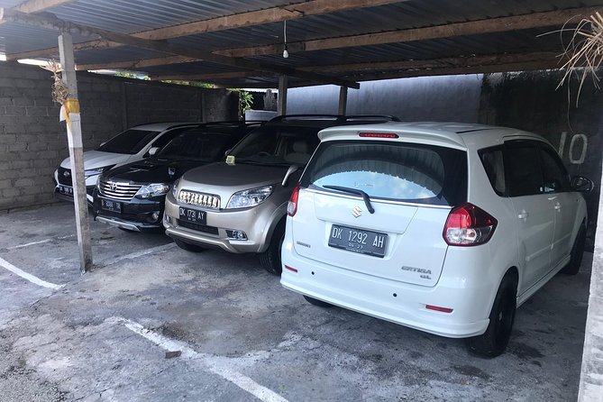 Private Bali Car Charter with Driver up to 6 People - Who will get the most from this charter