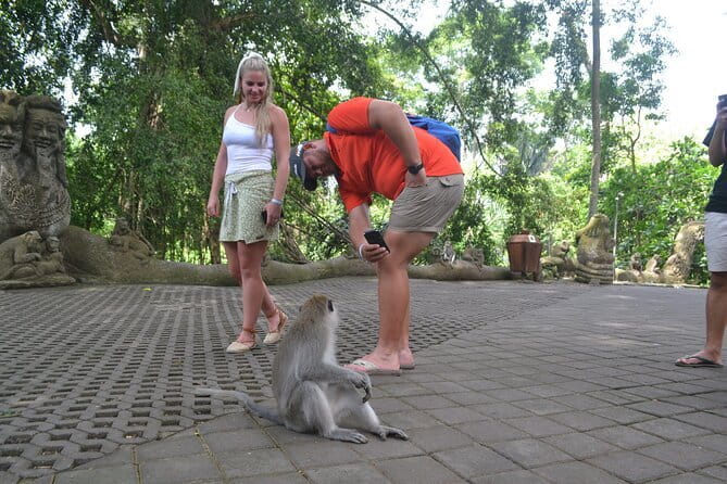 Private Bali Customized Tours - Ubud’s market, rice terraces, and village temples