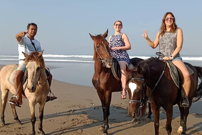 Private Bali Horse Riding In Seminyak Beach - Horse care and safety deserve close attention