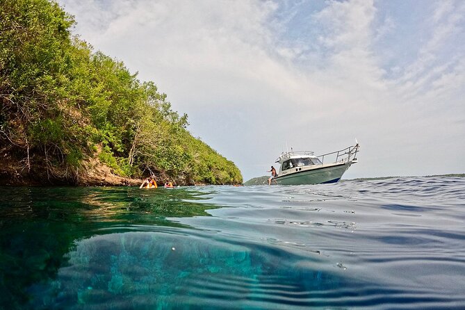 Private Boats in Bali and Nusa Penida - Manta Bay and the limits of wildlife watching