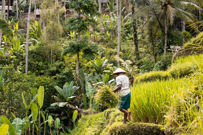 Private Customized Trip to Ubud - Prapen Jewelry and the work behind Balinese silver