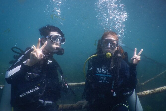 Private Diving Experience in Nusa Dua with Hotel Pick Up - What happens at Nusa Dua and Tanjung Benoa