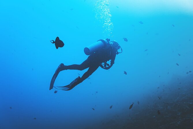 Private Diving Experience in Nusa Dua with Hotel Pick Up - Hotel pickup, timing, and the small details