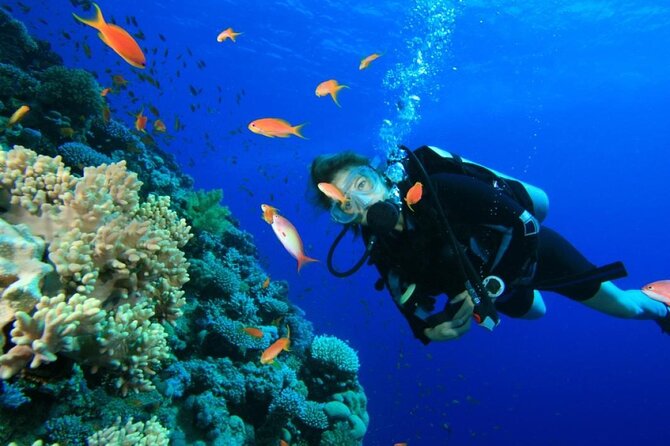 Private Diving Experience in Nusa Dua with Hotel Pick Up - Choosing one session or two