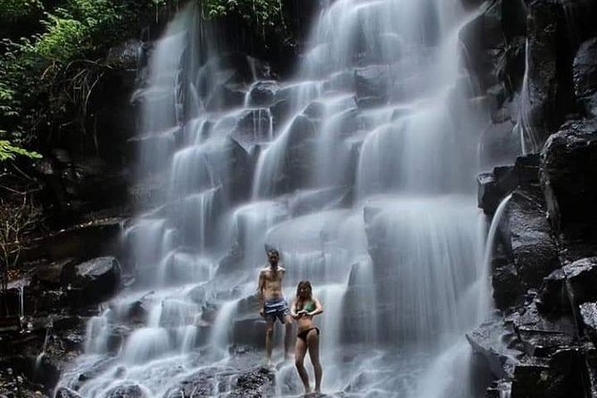 Private driver and tours - What Nyoman can arrange before you arrive