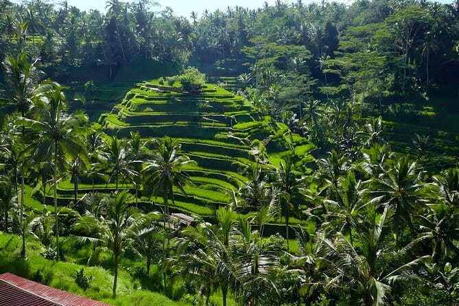 Private Full-Day Tour: Explore The Villages Of Ubud Bali - Key points to know before booking