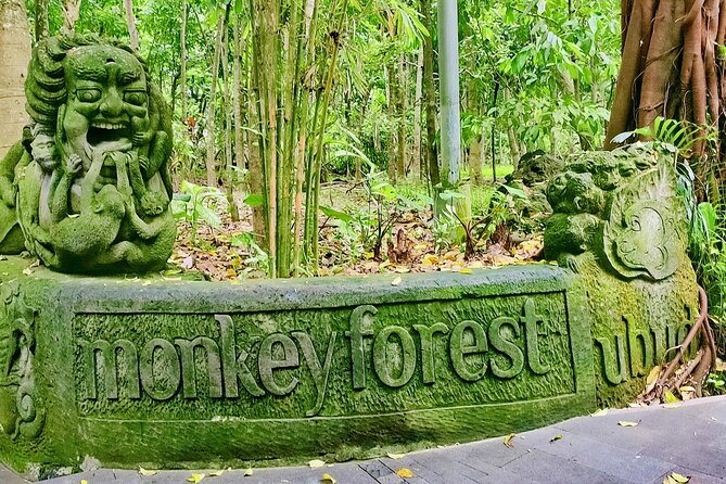 Private Full-Day Tour in Bali & FREE WIFI - The Ubud route: monkeys, water, rice fields, and holy springs