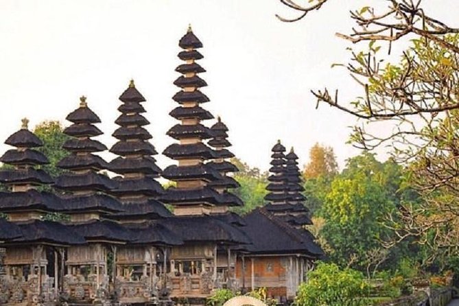Private Full-Day Tour Jatiluwih Rice Terrace and Tanah Lot Temple - Who should book this Bali day trip?