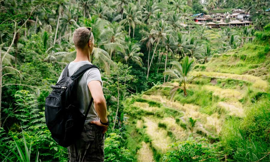 Private Full-Day Tour to the Real Bali Swing and Ubud - Key points at a glance