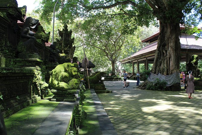 Private Full Day Tour to Ubud Highlights with Giant Swing - Picheaven Bali Swing, two hours of photos and height