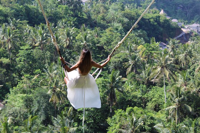 Private Full Day Tour to Ubud Highlights with Giant Swing - Tirta Empul, a working Hindu water temple