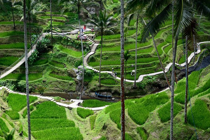 Private Full Day Tour to Ubud Highlights with Giant Swing - Who will get the most from this Ubud day
