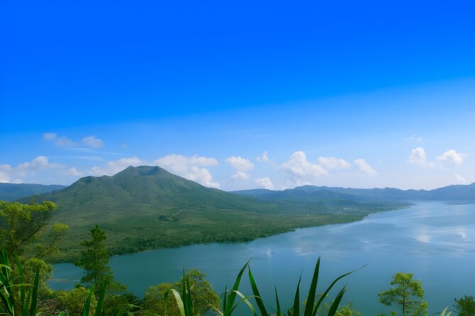 Private Full Day-Tour: Ubud Waterfall and Kintamani Volcano Trip - Shopping at Ubud Traditional Art Market