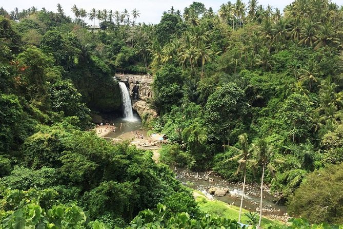 Private Guided Tour: The Best Of Ubud With Jungle Swing - Cool scenery at Ulu Petanu Waterfall
