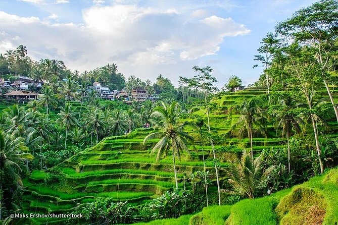 Private Guided Tour: The Best Of Ubud With Jungle Swing - What the private guide adds