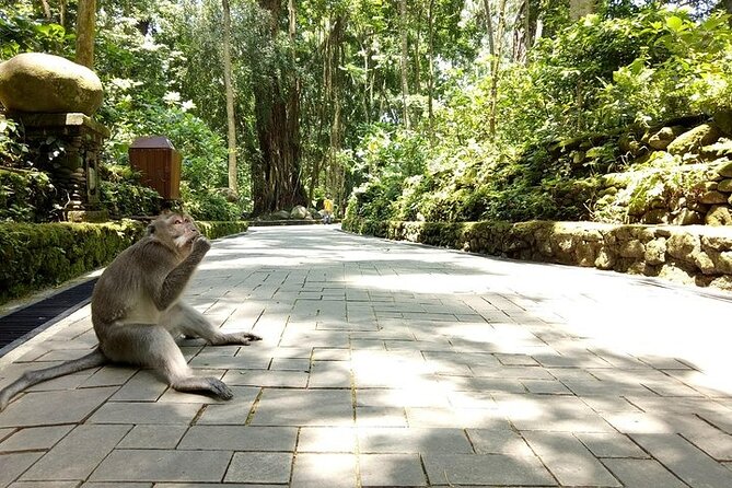 Private Guided Tour: The Best Of Ubud With Jungle Swing - Is $56 a fair price?