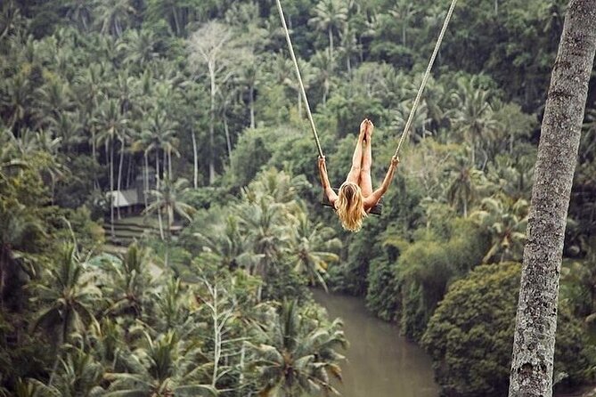 Private Guided Tour: The Best Of Ubud With Jungle Swing - Rice fields at Ceking Rice Terrace