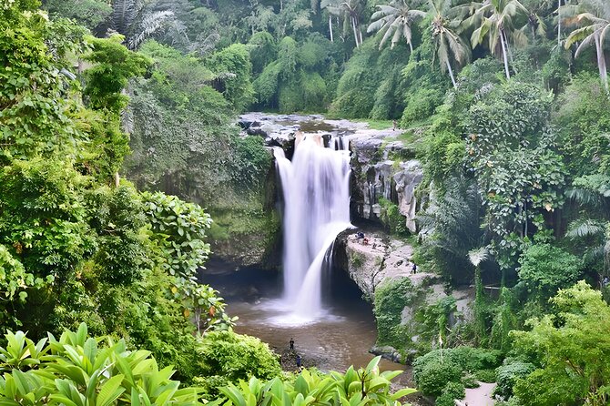 Private Half-Day Tour: The Best Ubud Half Day Trip Packages - Tegenungan Waterfall: a strong finish