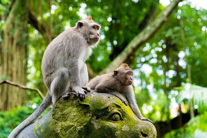 Private Inclusive Tours: 2 Days highlight of Bali - Why this two-day route works for first-time Bali visitors