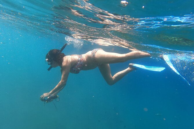 Private Nusa Penida Snorkeling Tour - Lunch at Amarta or Green Kubu