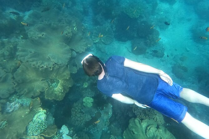 Private Nusa Penida Snorkeling Tour - Returning through Sanur to Seminyak