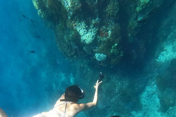 Private Nusa Penida Snorkeling Tour - Is $157.84 per person good value?