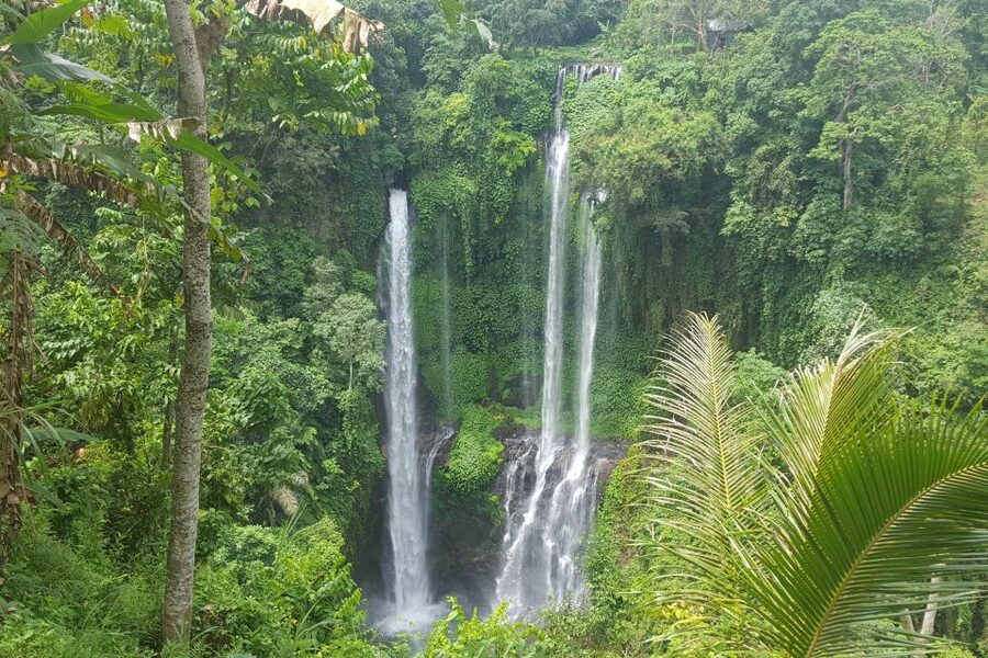 Private Sekumpul Waterfall Hiking Tour - Who should choose this hike?