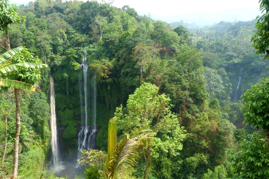 Private Sekumpul Waterfall Hiking Tour - Small details that can save your day