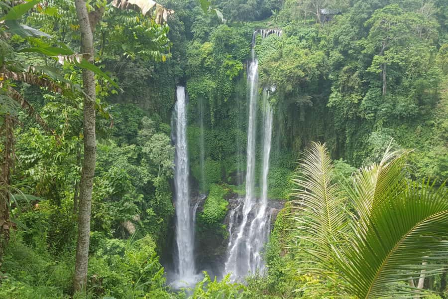 Private Sekumpul Waterfall Hiking Tour - Your waterfall guide makes a real difference
