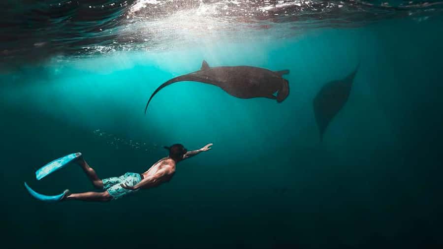 Private Snorkeling in Nusa Penida - Crystal Bay: a second underwater setting