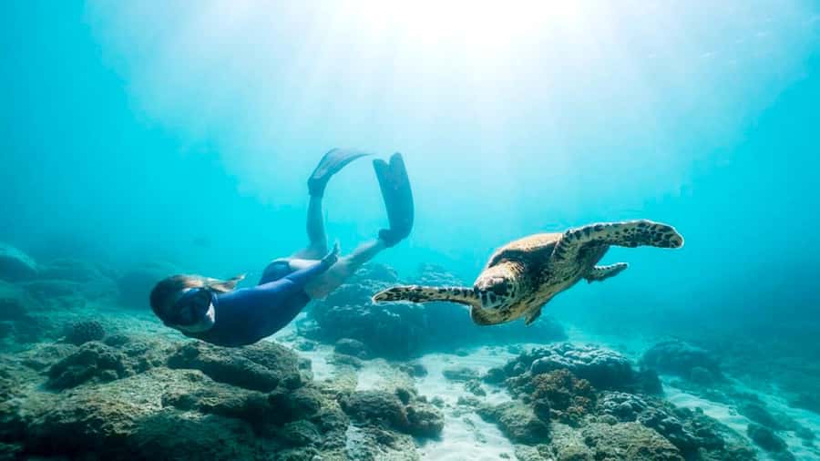 Private Snorkeling in Nusa Penida - Equipment, photos, and what to bring