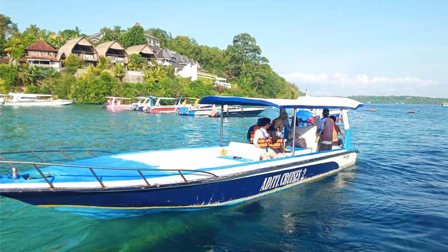 Private Snorkeling in Nusa Penida - How the price compares with the experience