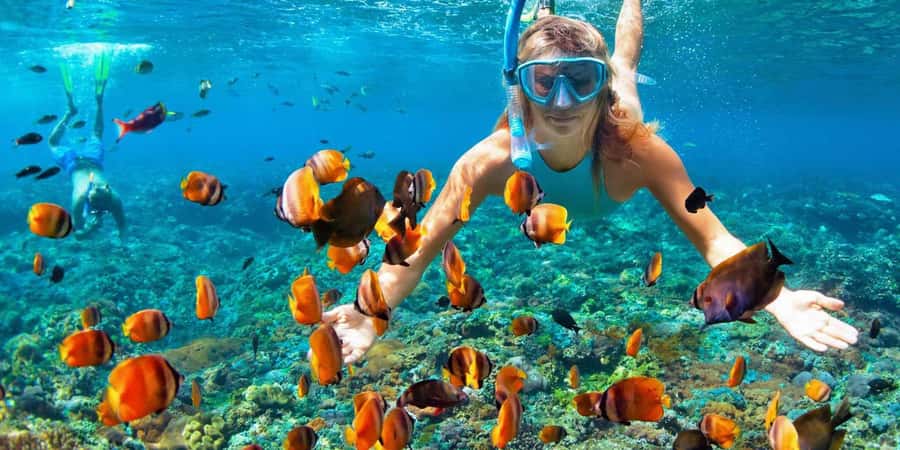 Private Snorkeling in Nusa Penida - Manta Bay: the main wildlife chance