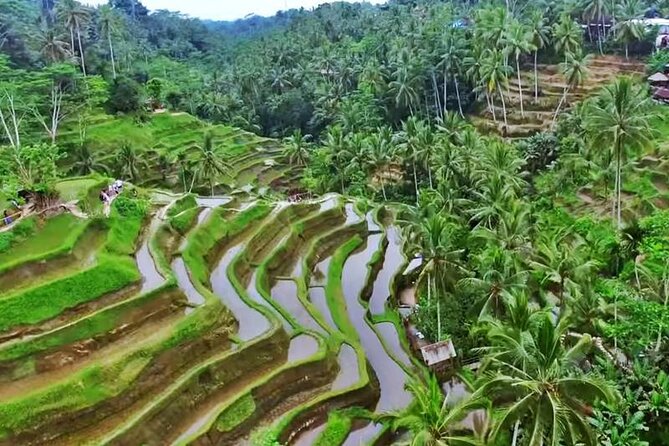 Private Tour: Amazing 3 Days Bali Sightseeing Tour Package with Airport Transfer - Kintamani views, lunch, coffee, and Sebatu Temple