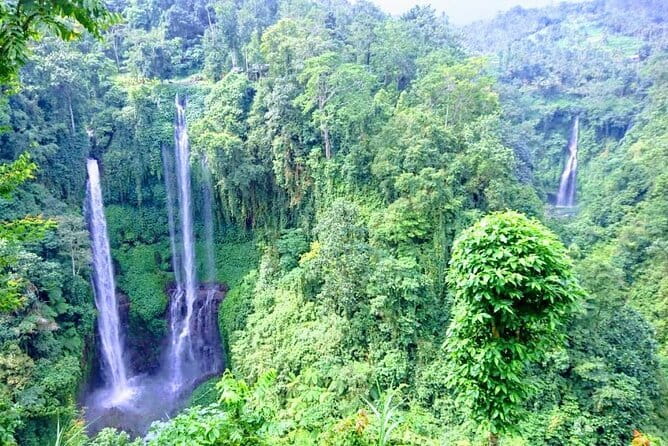 Private Tour: Bali Heritage Sites - Tirta Empul and the holy spring