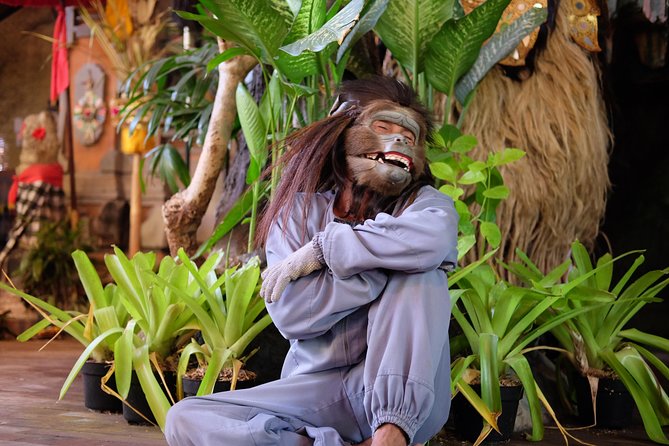 Private Tour: Bali in a Day - The drivers and the private vehicle