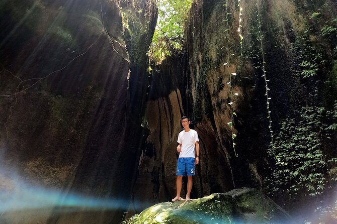 Private Tour Bali: Lempuyang Temple / Gate of Heaven, tirtagangga, waterfall. - Tirta Gangga’s water gardens at 3:00 p.m.