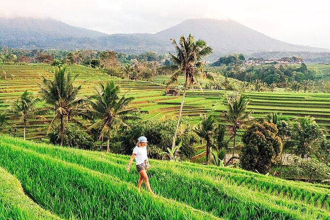 Private Tour: Bali UNESCO World Heritage Sites - Wanagiri Hidden Hills and the twin-lake views