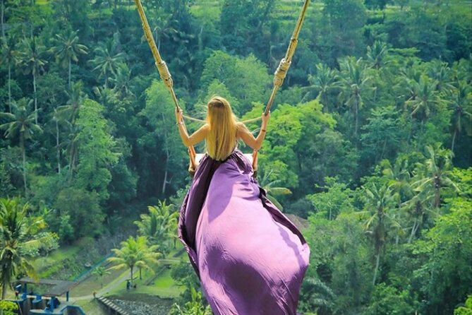 Private Tour: Gates of Heaven,Tukad Cepung Waterfall, Tirta gangga - What the $70 price really covers