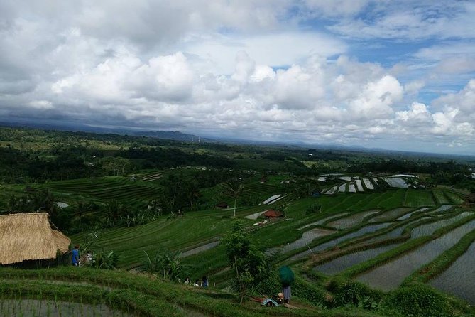 Private Tour: Jatiluwih Rice Terrace,Ulun danu and Banyu Mala Waterfall Tour - Buyan and Tamblingan show Bali from above