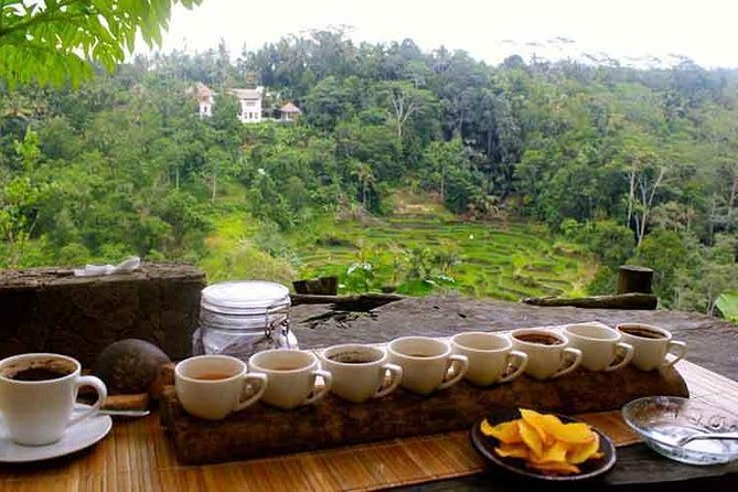 Private Tour: Jatiluwih Rice Terrace,Ulun danu and Banyu Mala Waterfall Tour - Jatiluwih is the day’s strongest cultural stop