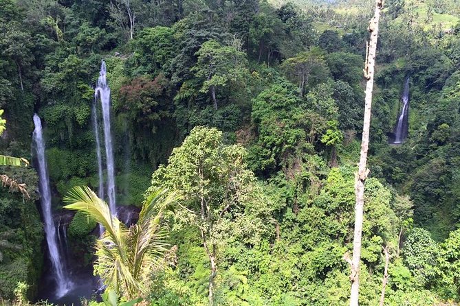 Private Tour: Jatiluwih Rice Terrace,Ulun danu and Banyu Mala Waterfall Tour - Handara Gate ends with a quick photo stop