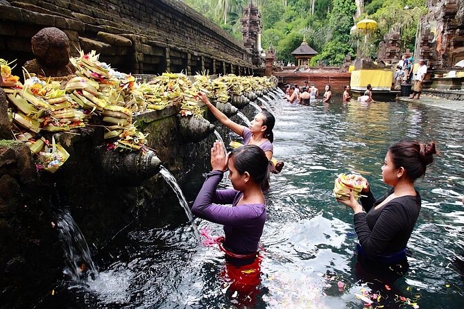 Private Tour Ubud: Swing at Rice Field with Temple and Waterfall - What the $36.23 price really covers