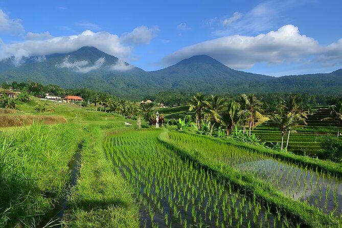 Private Uluwatu Sunset, Kecak Dance, Dinner at Jimbaran Beach - Who should book this experience?