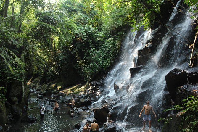 Private Waterfall Tour Feature Tukad Cepung, Tibumana and Kanto Lampo - Three waterfalls, three different moods