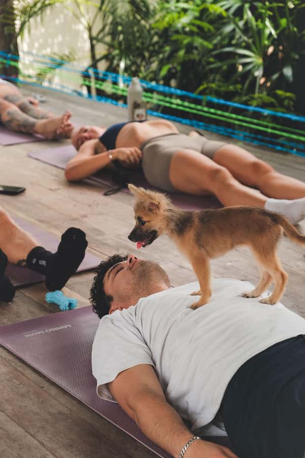 Puppy Yoga in Bali, Canggu – #1 Thing to Do in Bali - What the $37 price really covers